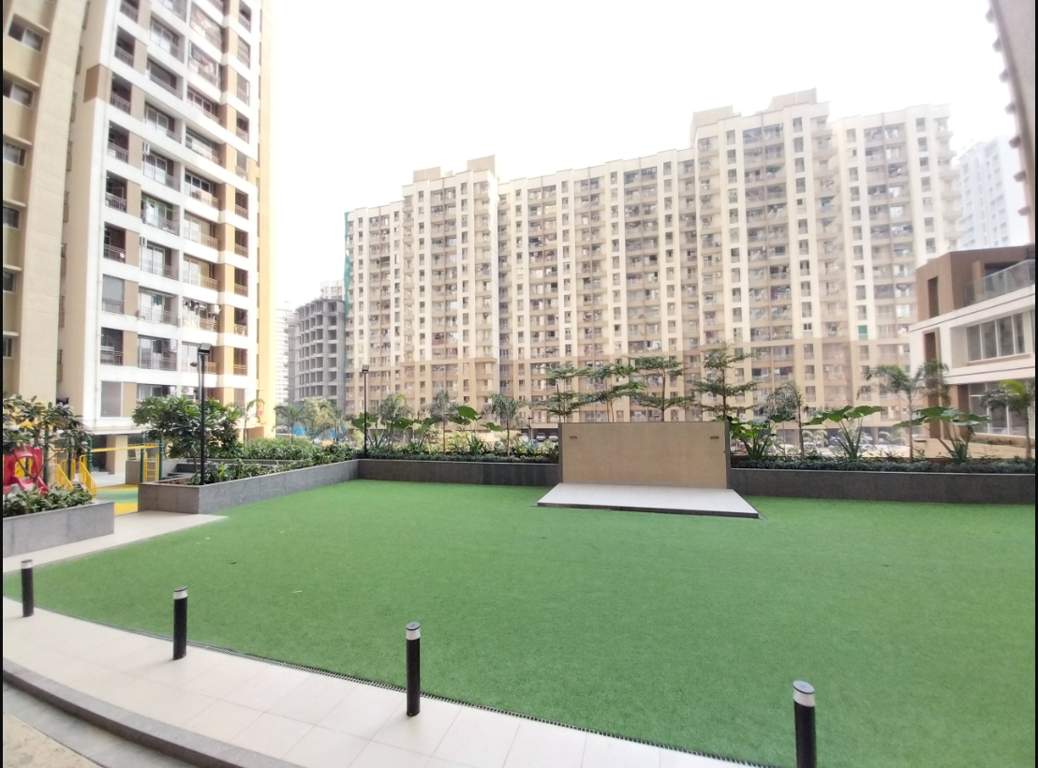  north celeste Landscape Garden and Tree Planting