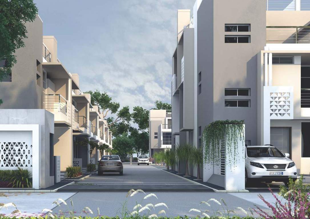  park 2 Images for Project