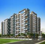 Images for Project elite-dream Images for Project