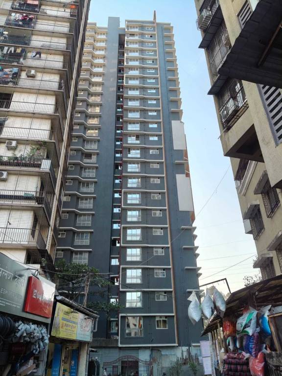  daffodil heights Elevation