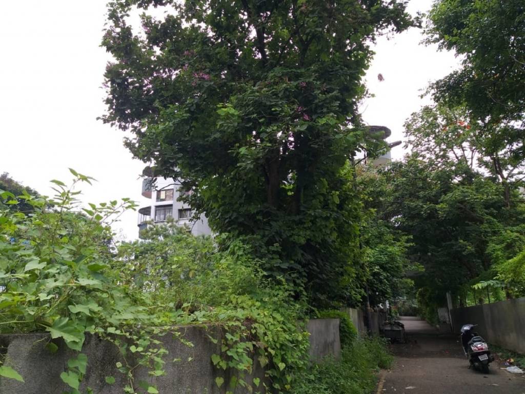  complex Internal Roads