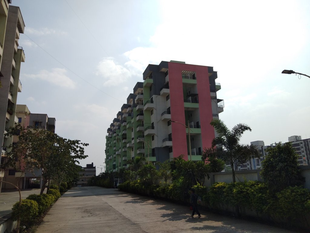  tulip homes Elevation