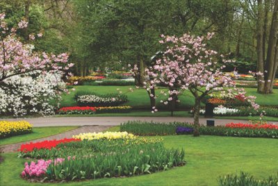 Images for Amenities of Somani Dream Home Phase II