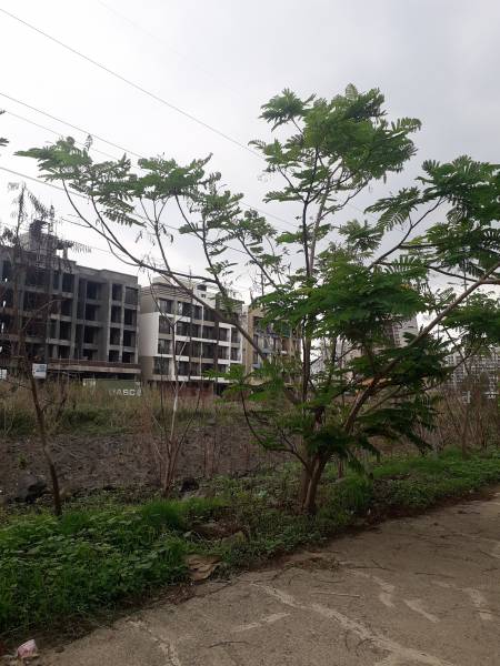 Images for constructionStatus