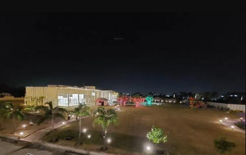 Landscape Garden and Tree Planting palms Landscape Garden and Tree Planting