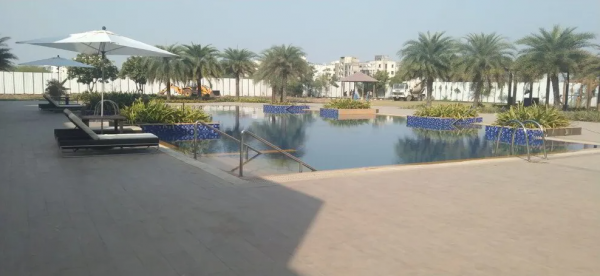 Swimming Pool palms Swimming Pool