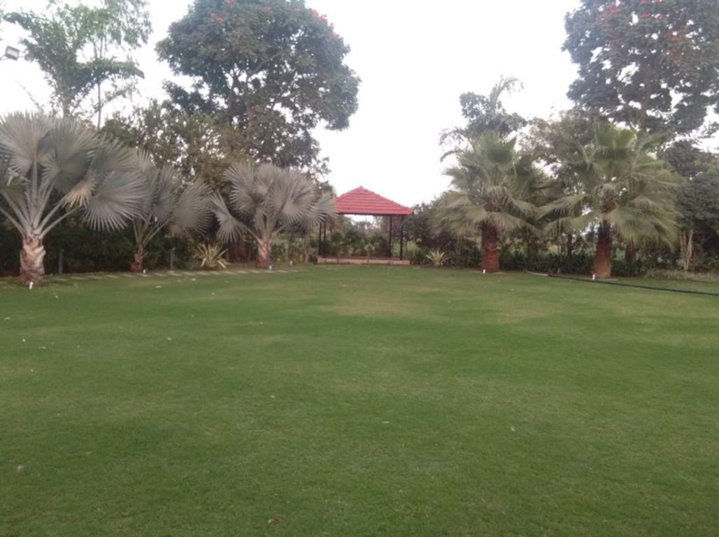 singapore life city Landscape Garden and Tree Planting