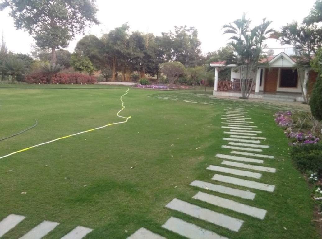 singapore life city Landscape Garden and Tree Planting