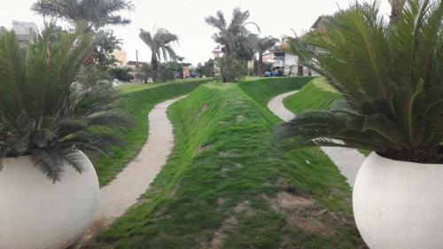 Others singapore-life-city Others