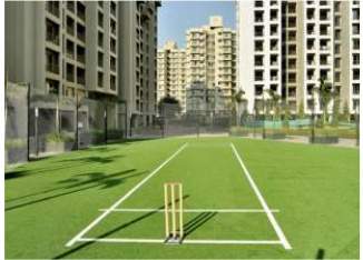  homes Cricket Pitch