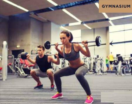  mcgb-staff-gilbird-chsl Gymnasium