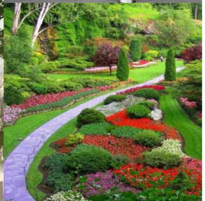  maniratna-complex-c1 Landscaped Gardens