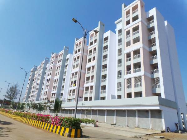  flora-phase-ii Elevation