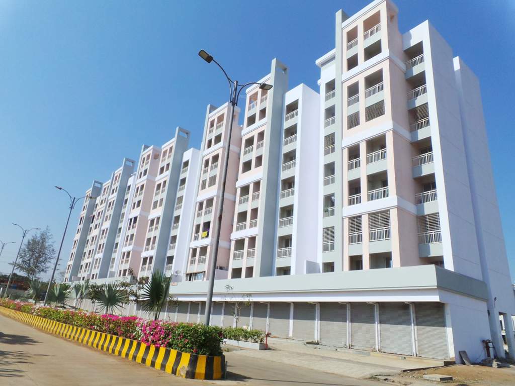  flora phase ii Elevation