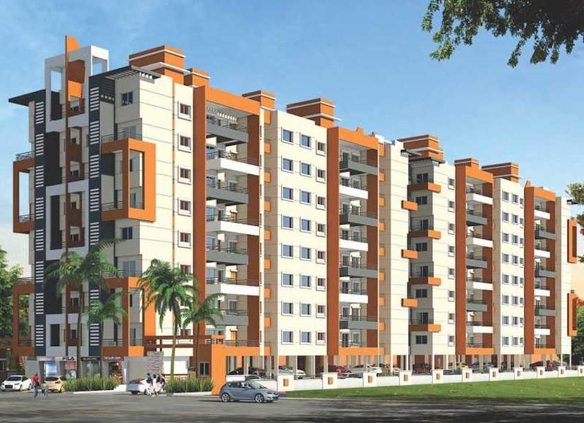  kinjal pristine wing a and b Elevation