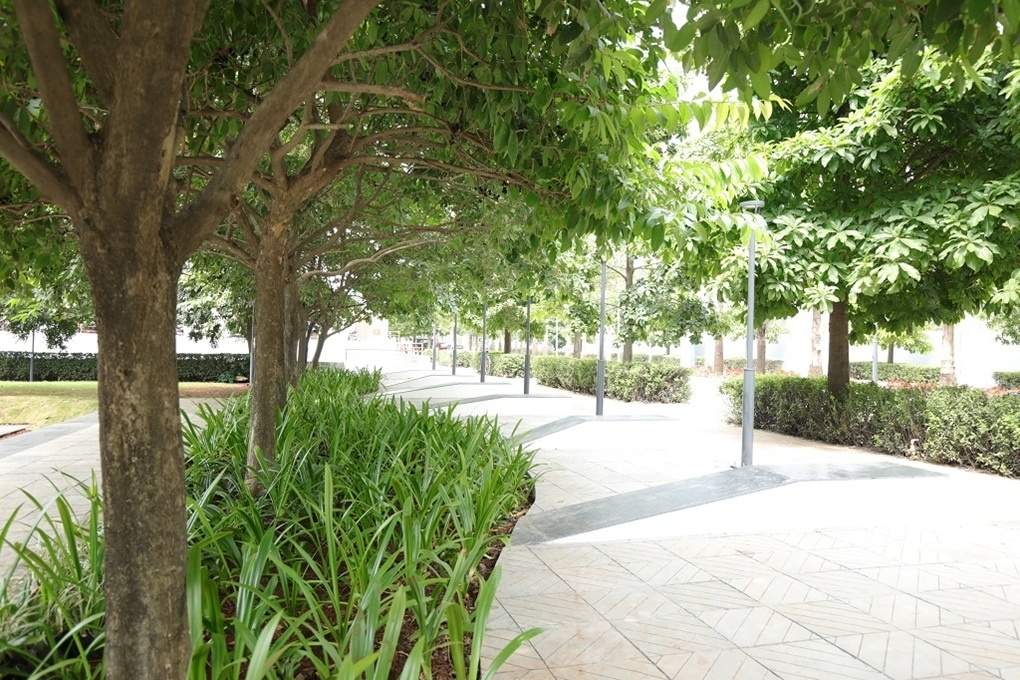 little earth masulkar city phase 3 Landscape Garden and Tree Planting