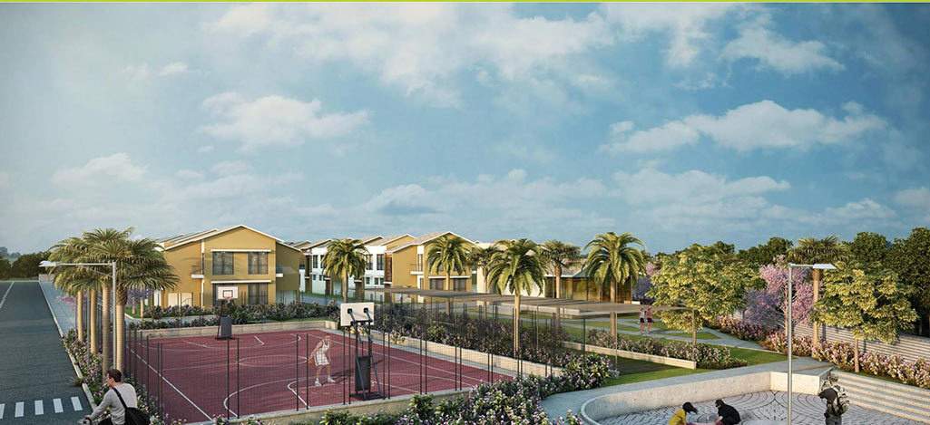  river of joy zone a Basketball Court