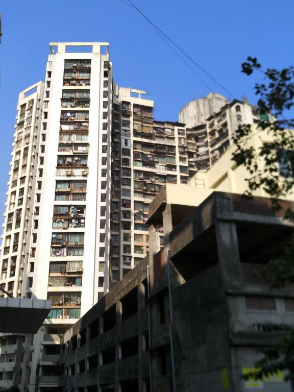  lifestyle amethyst Images for Project