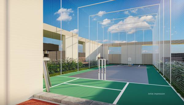  aarambh Cricket Pitch