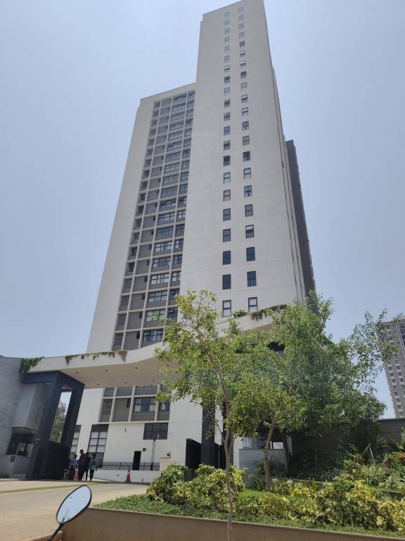  forest edge Elevation