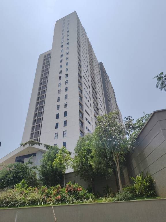  forest edge Elevation