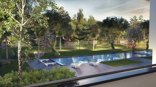 Swimming Pool forest-edge Swimming Pool