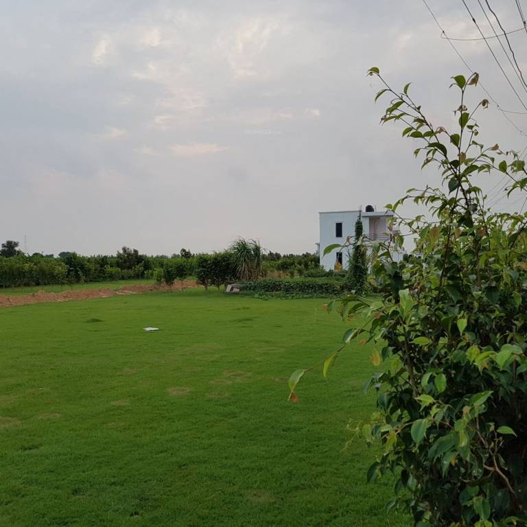 Images for Main Other of Mansha Royal City