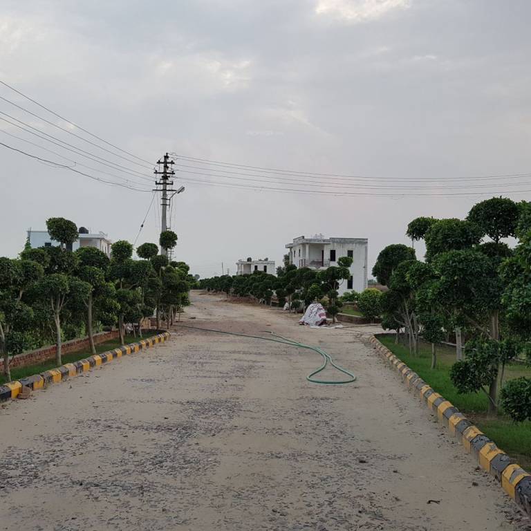 Images for Main Other of Mansha Royal City