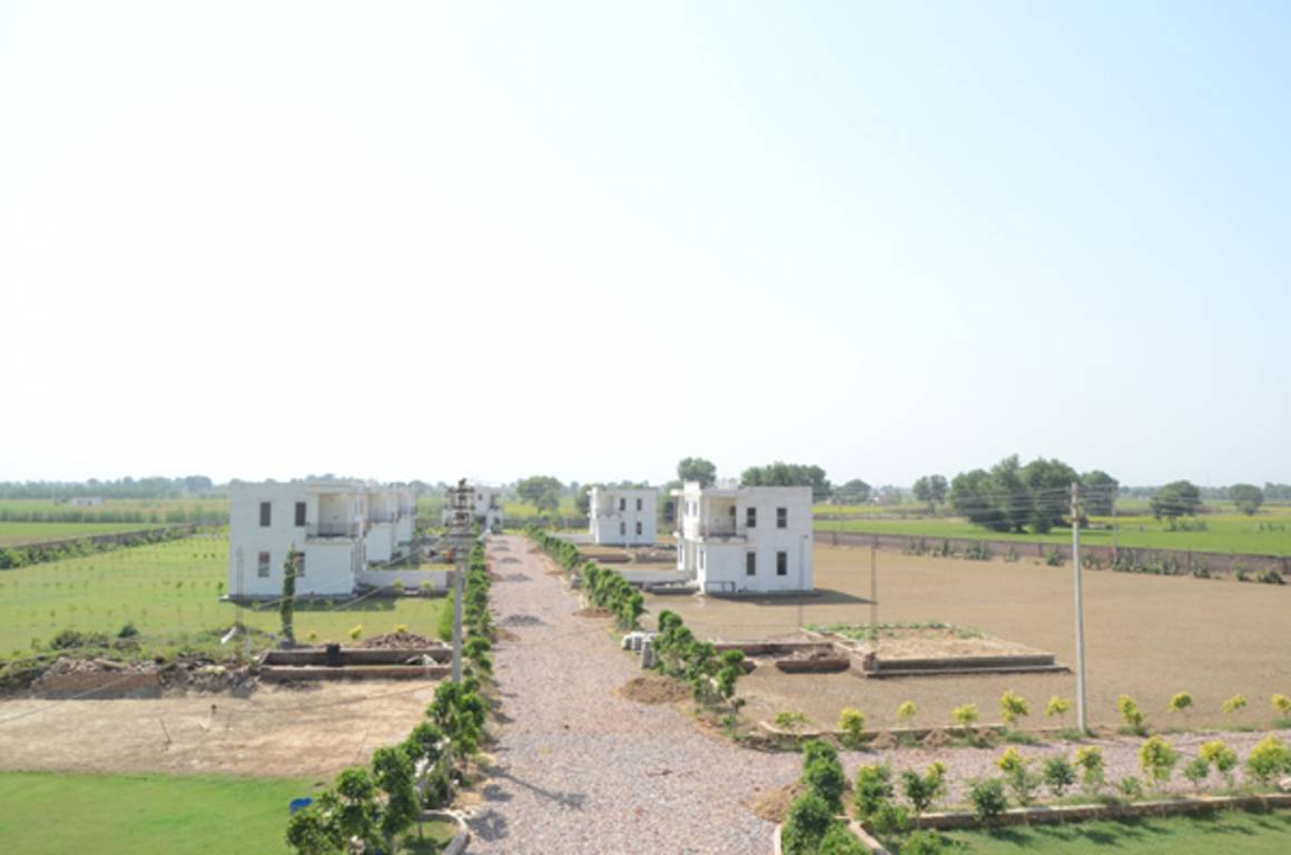 Images for Main Other of Mansha Royal City