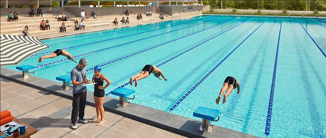  palava-aurora-a-d Others