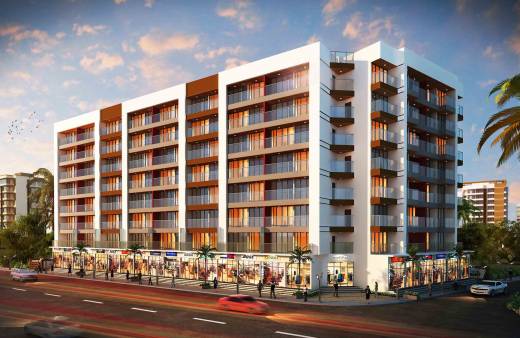 Images for Elevation of Ira Icon