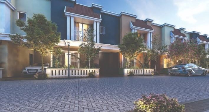  gardenia Images for Project