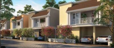  gardenia Images for Project