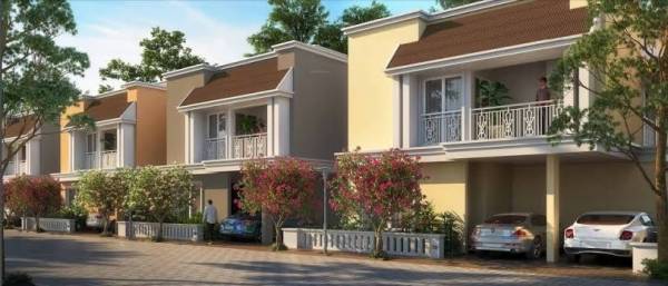  gardenia Images for Project