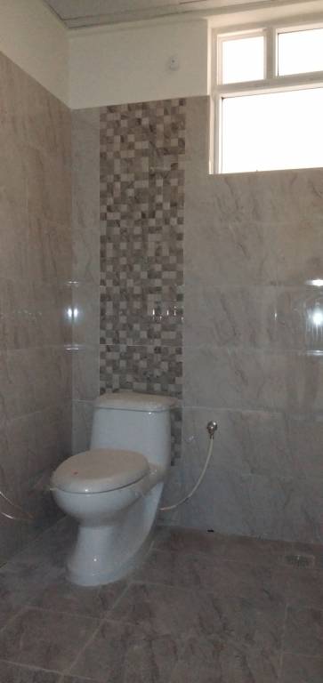 Images for mainOther