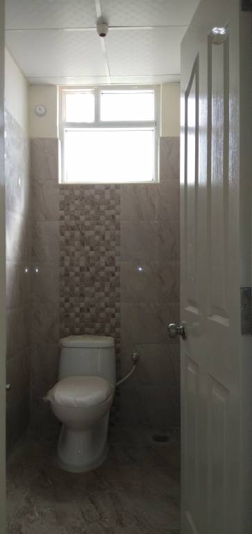 Images for mainOther