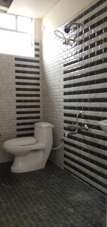 Images for mainOther