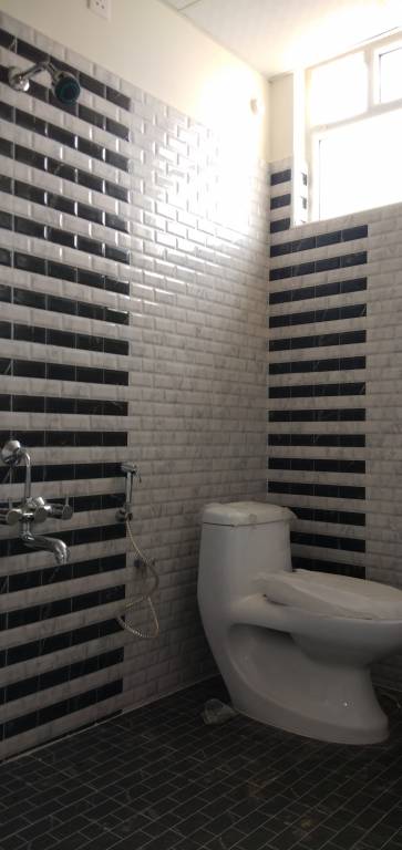 Images for mainOther