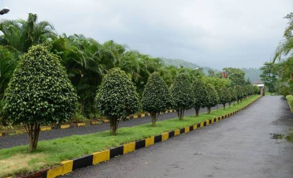  bhimashankar-hills Others