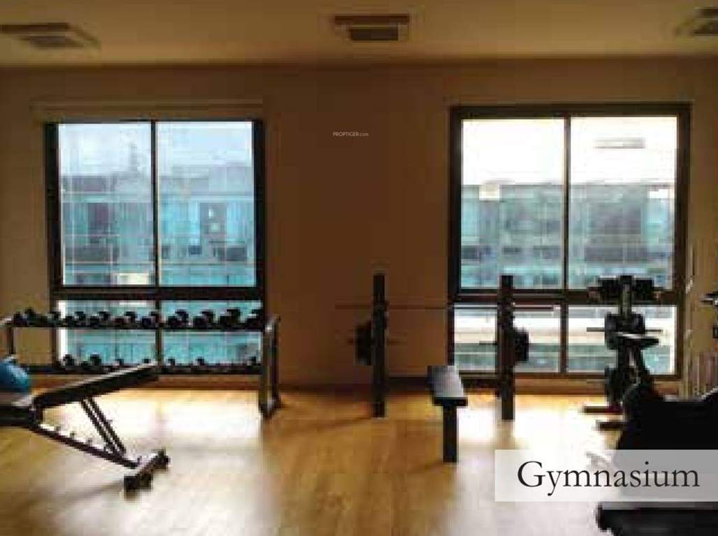  morzaria grandeur ii Gymnasium