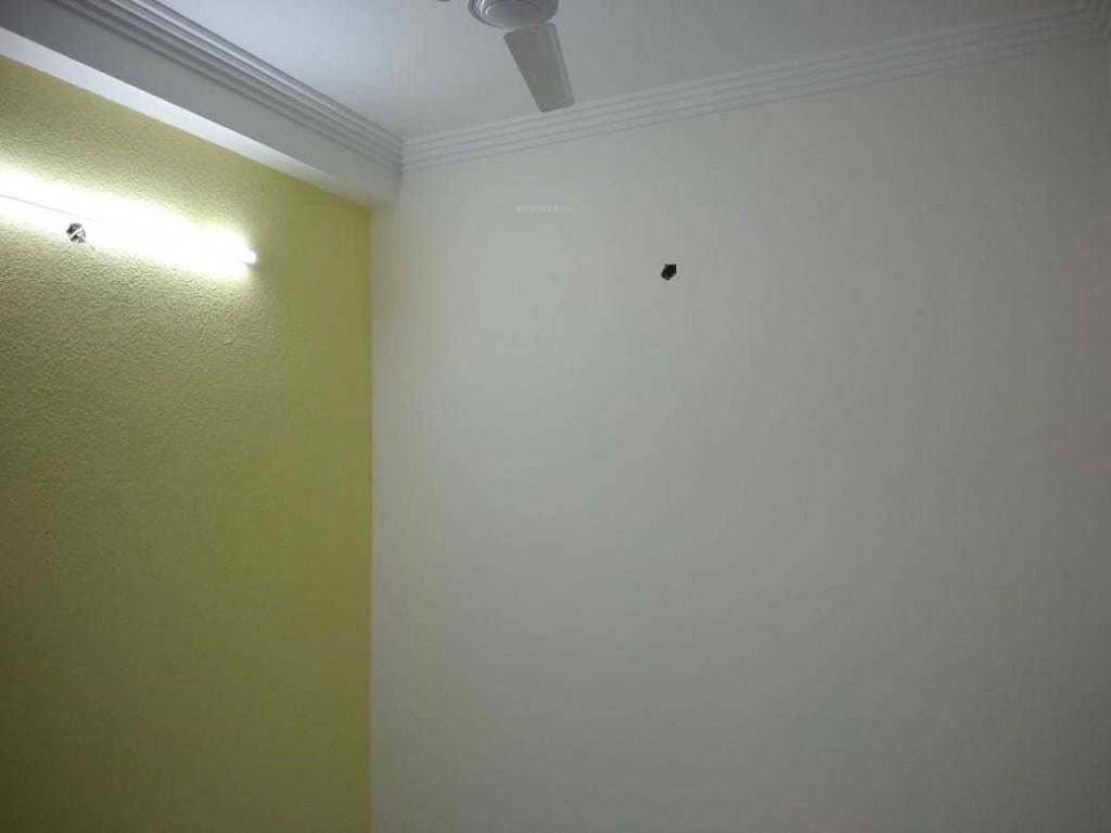 Images for mainOther