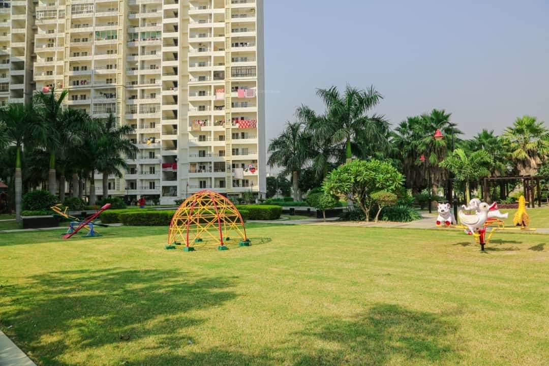 world Landscape Garden and Tree Planting