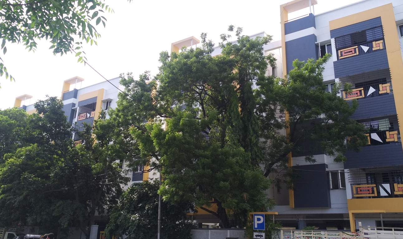  park view apartments Elevation