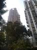 Pushp Vinod 5