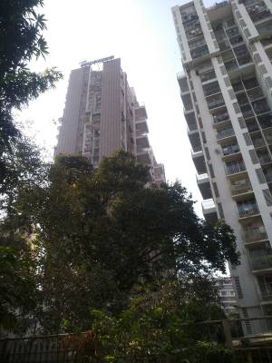 Images for Project Images for Project