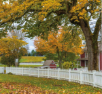  capital Landscape Garden and Tree Planting