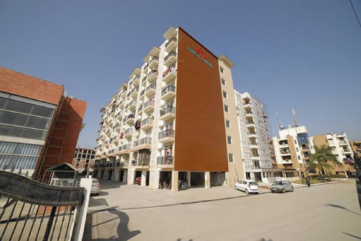 forest lavana Elevation