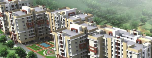 Elevation elite Elevation