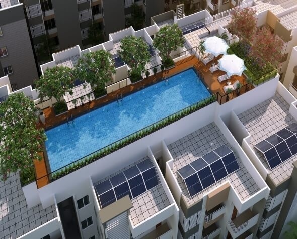  tropical-garden Others