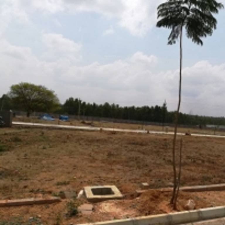 Images for Main Other of Aratt Amora Park View